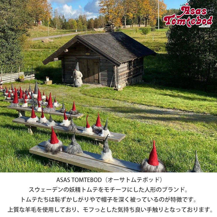 オーサトムテボッド サンタ Frode レッド 定形外送料無料 クリスマス ST120042 北欧 冬 トムテ人形 妖精 人形 置物 飾り ハンドメイド インテリア