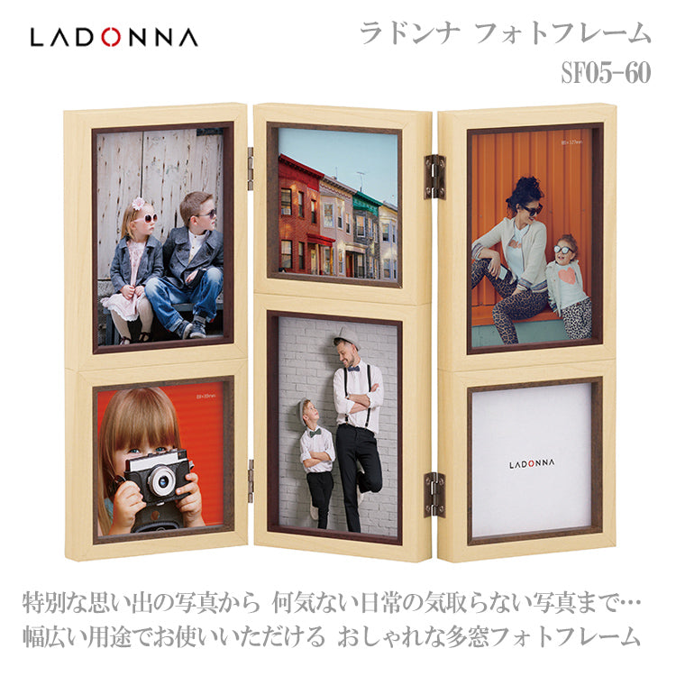 LADONNA ラドンナ 6面 フォトフレーム AVANTI SF05-60 リビング 6面 L判/スクエア判