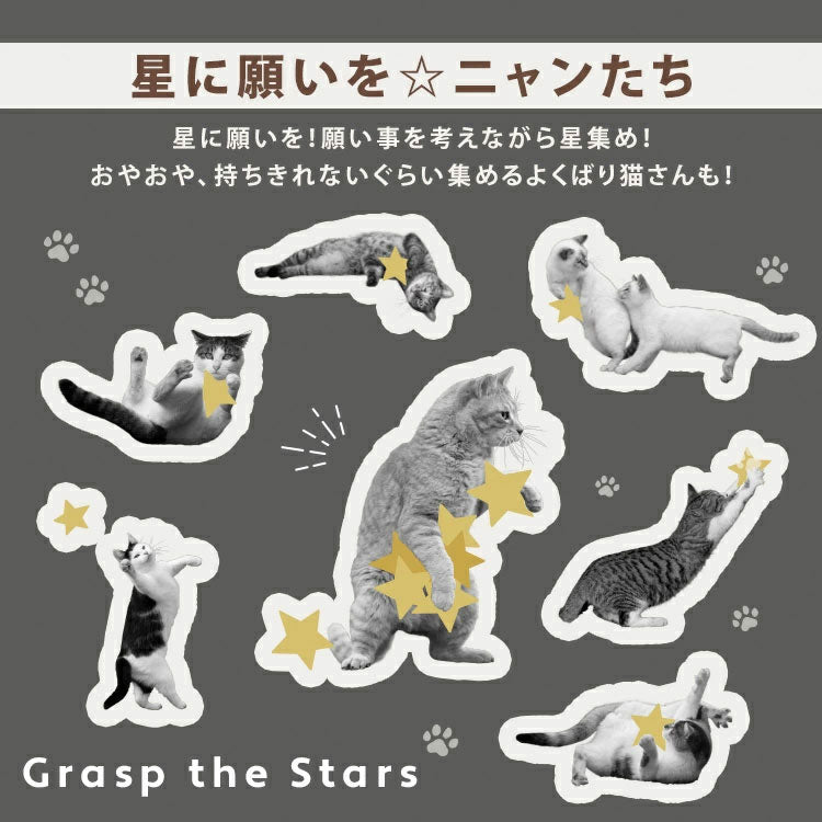 沖昌之×Wpc. 遮光 軽量 アンブレにゃん 801-om004-102 定形外 送料無料 ねこ 日傘 折りたたみ 晴雨兼用 UVカット 撥水加工