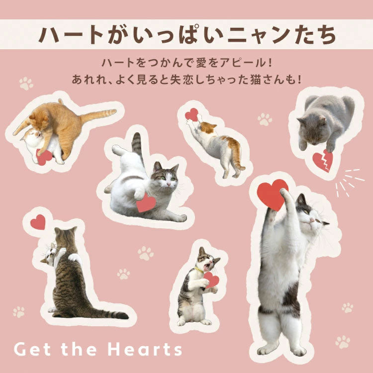 沖昌之×Wpc. 遮光 軽量 アンブレにゃん 801-om004-102 定形外 送料無料 ねこ 日傘 折りたたみ 晴雨兼用 UVカット 撥水加工