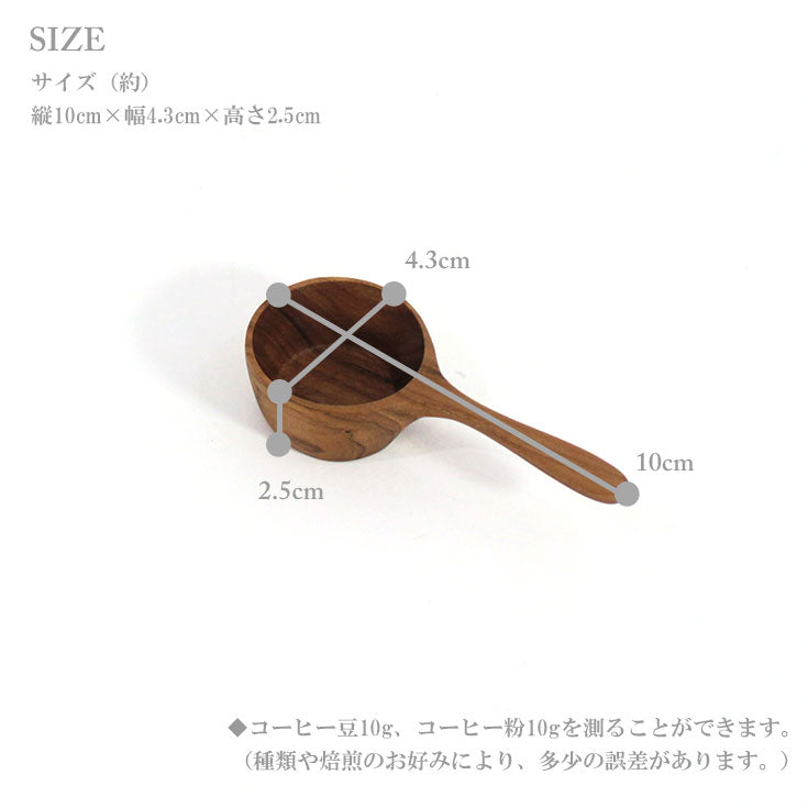 定形外送料無料 チークウッド コーヒー スクープ テーパー S サイズ 380529 S TEAKWOOD