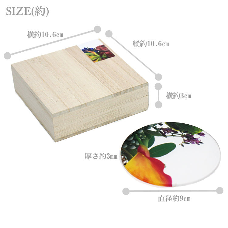 定形外送料無料 トウメイ コースター 泉文 Ikebana coaster 4枚セット 生け花 桐箱入り グラス置き キッチン