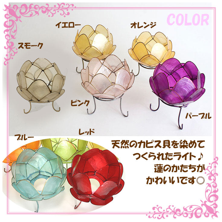 カピス ロータス ランプ Sサイズ 貝 アジアン 間接照明 テーブルライト トモ