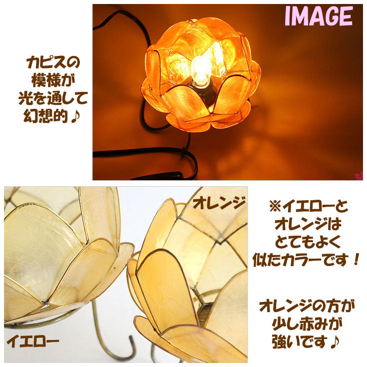 カピス ロータス ランプ Sサイズ 貝 アジアン 間接照明 テーブルライト トモ