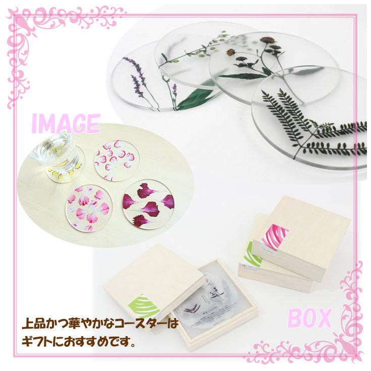【定形外送料無料】 toumei トウメイ 押し花 coaster コースター A/B/C/D/カーネーション