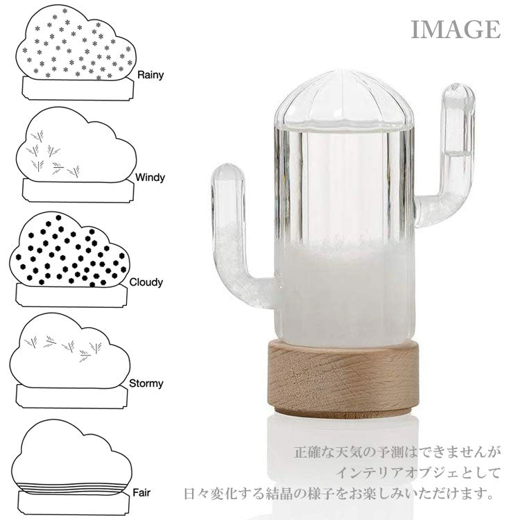 送料無料 Bitten ストームカクタス ウェザーステーション 1920 サボテン 天気管 ストームグラス 天気予報 ビッテン storm cuctus 気象観測 天気 おしゃれ 雑貨 オブジェ