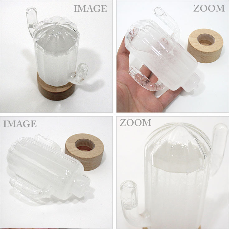 送料無料 Bitten ストームカクタス ウェザーステーション 1920 サボテン 天気管 ストームグラス 天気予報 ビッテン storm cuctus 気象観測 天気 おしゃれ 雑貨 オブジェ