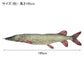 ダルトン フィッシーズ パイク 195 Y-0506 送料無料 クッション 魚 モチーフ 淡水魚 インテリア リビング