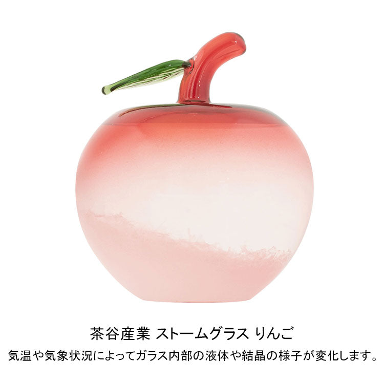 茶谷産業 ストームグラス りんご 333-418 気象計 気象予測 天気 アップル ガラス インテリア ギフト
