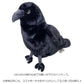 ワイルドアニマル ペンケース カラス 定形外 送料無料 ぬいぐるみ 筆箱 ペンポーチ ポーチ フィギアポーチ 鳥
