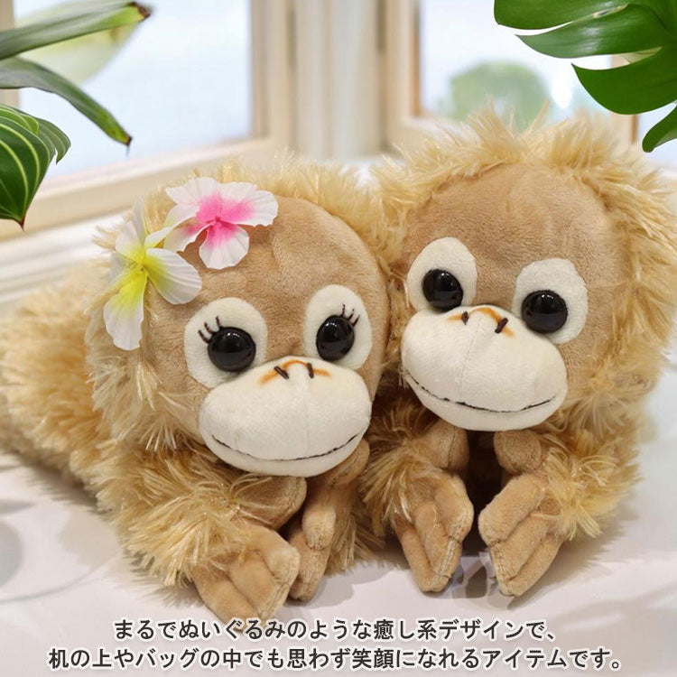 ベイビーココ＆ナツ ロングポーチ 定形外 送料無料 203229-24 オランウータン ペンポーチ フィギュアポーチ ぬいぐるみ 筆箱 ペンケース ココ ナツ 小物入れ かわいいココ