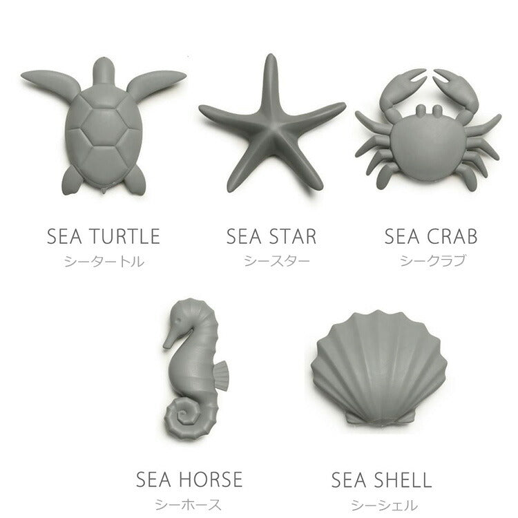 定形外送料無料 Qualy シーマグネット 5個セット 磁石 マグネット 冷蔵庫 亀 ヒトデ カニ タツノオトシゴ 貝 海の生き物