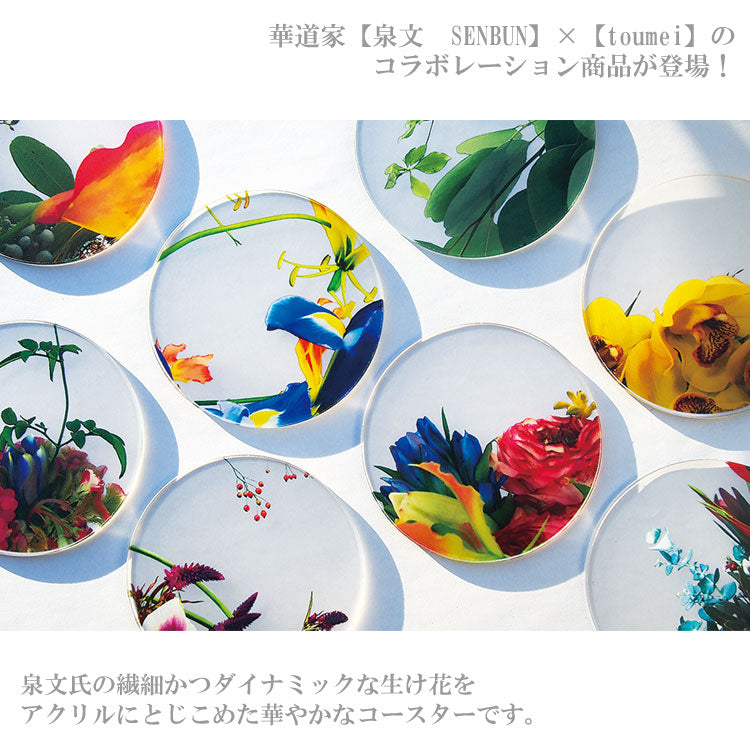 定形外送料無料 トウメイ コースター 泉文 Ikebana coaster 4枚セット