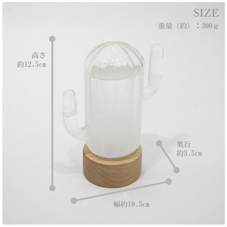 送料無料 Bitten ストームカクタス ウェザーステーション 1920 サボテン 天気管　ストームグラス 天気予報 ビッテン storm cuctus 気象観測 天気 おしゃれ 雑貨 オブジェ